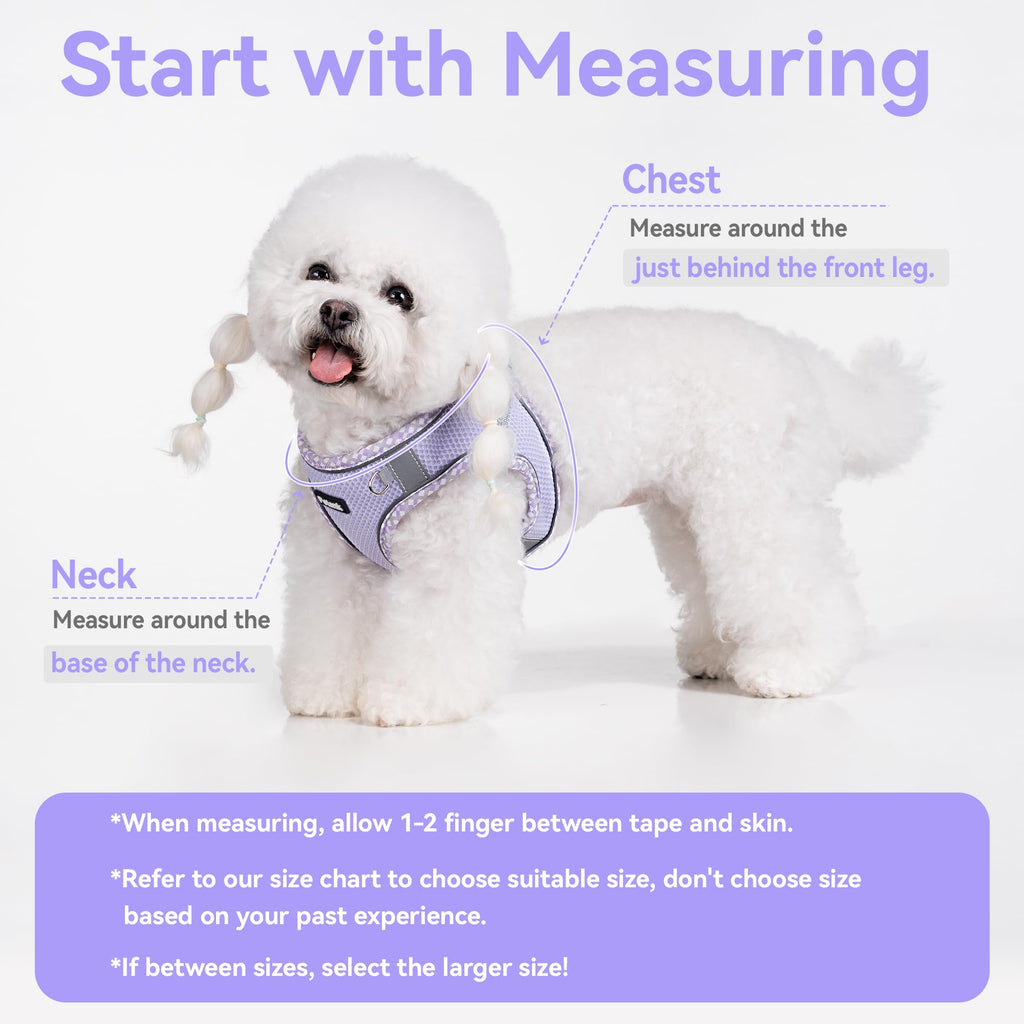Petank Dog Harness for Small Medium Dogs No Pull, Puppy Harness and Leash Set, Step in Dog Harness for Walking, Running, Training, Small Dog Vest(Purple, S)