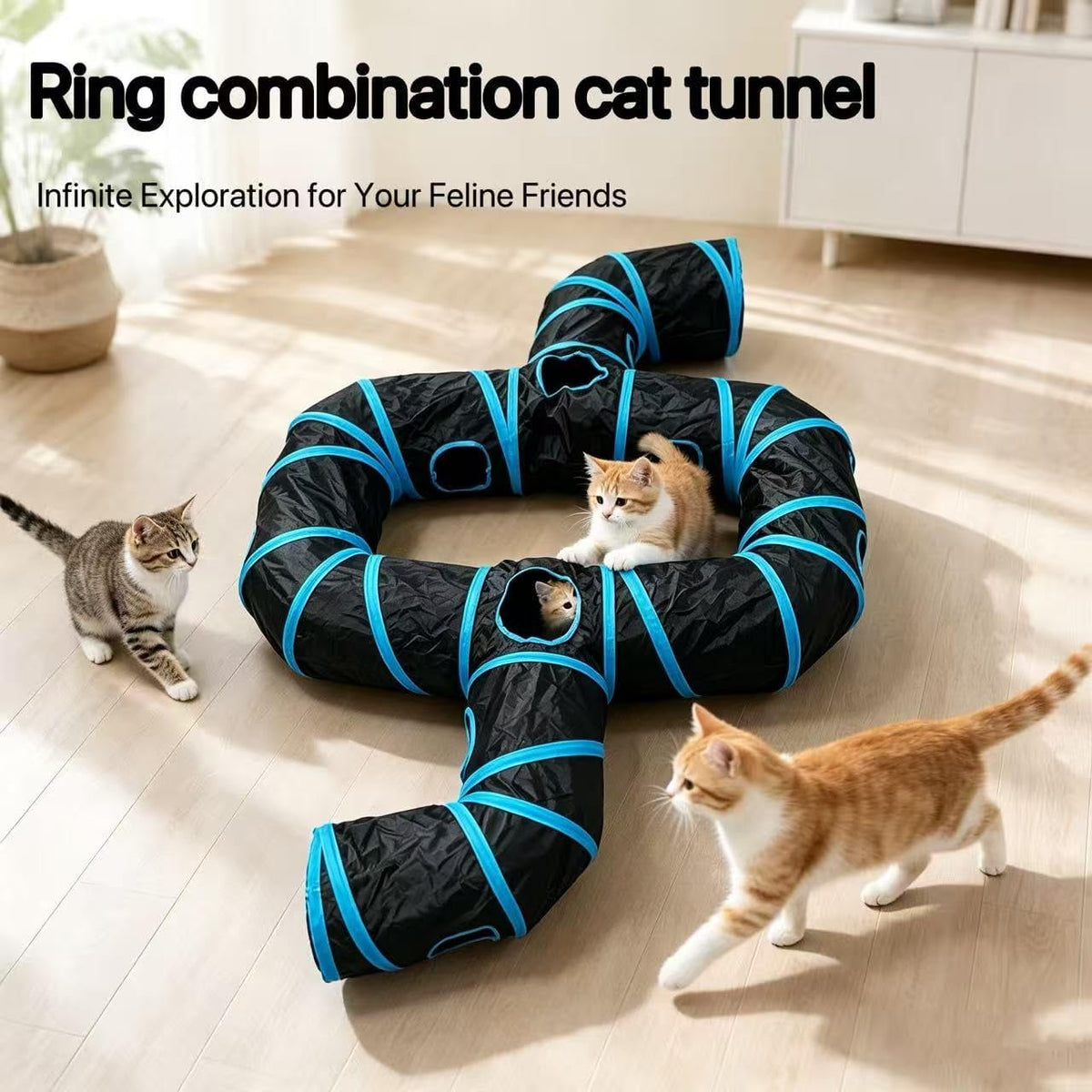 Blue & Black Ring Cat Tunnel, Foldable Toy for Indoor Cats & Small Pets