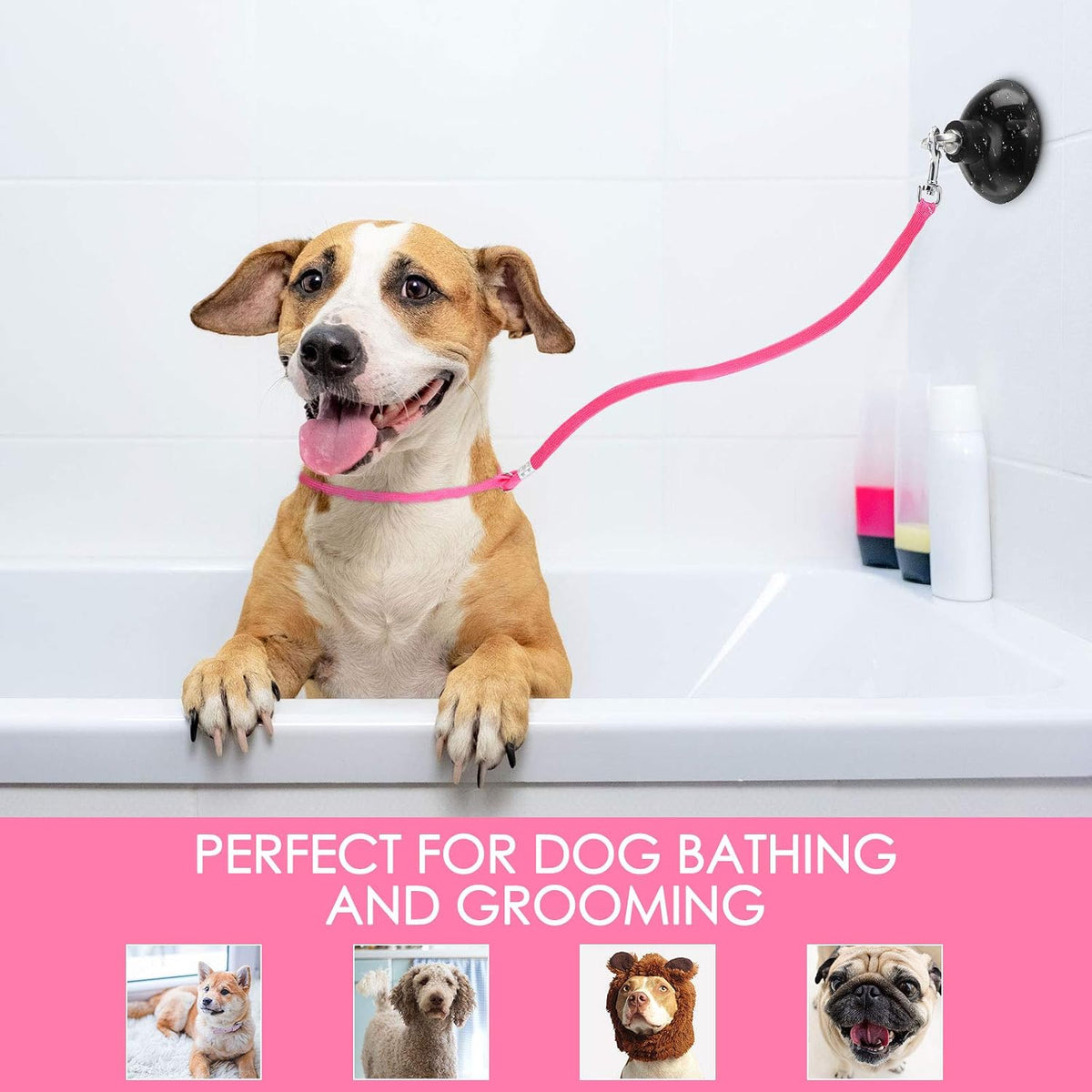 Frienda 4 Pcs Dog Bathing Tether with Suction Cup,Blue Black Pink