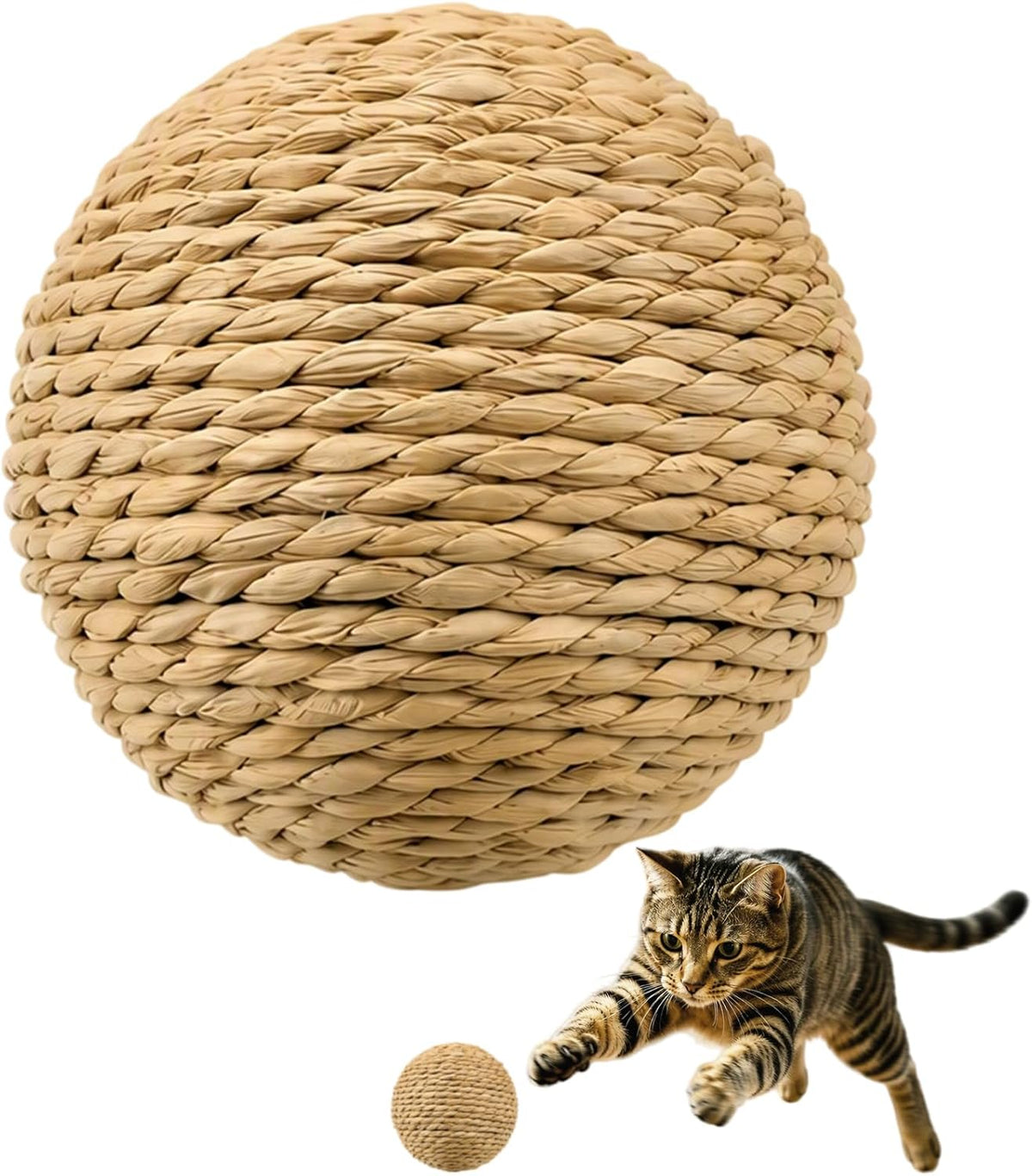 4 Inch Sisal Cat Toy Ball for Indoor Cats