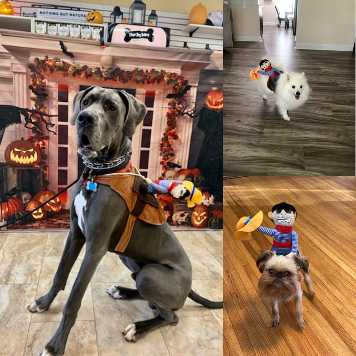 Cowboy Rider Dog Costume Dogs Outfit Knight Style Doll Hat Halloween Day Pet Costume (XL)