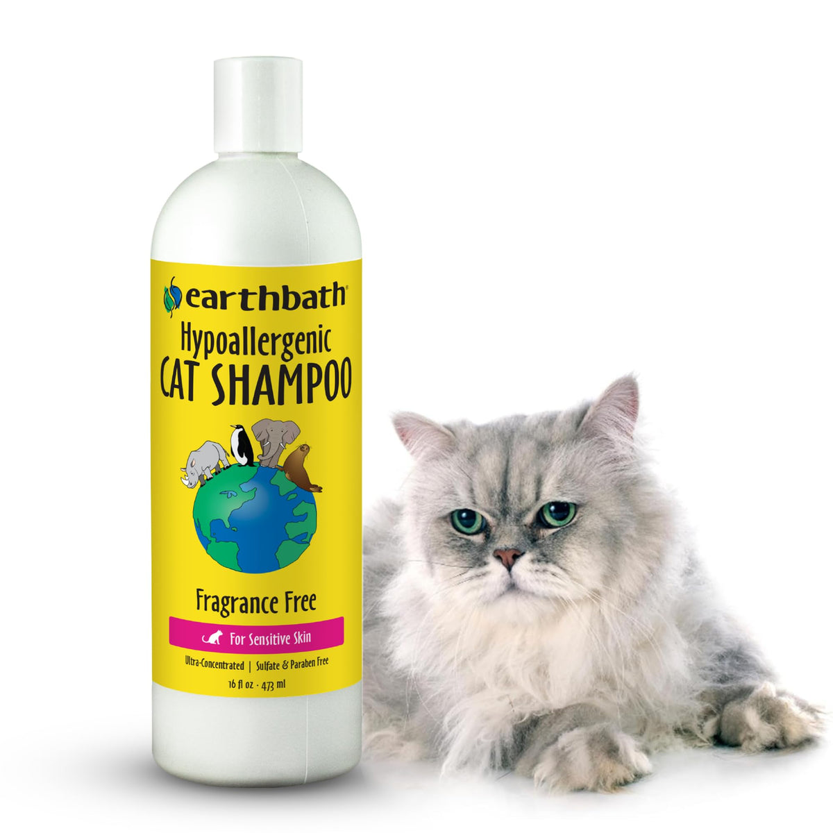 earthbath Hypoallergenic Cat Shampoo, Made in USA, 16 fl oz (1 Pack)