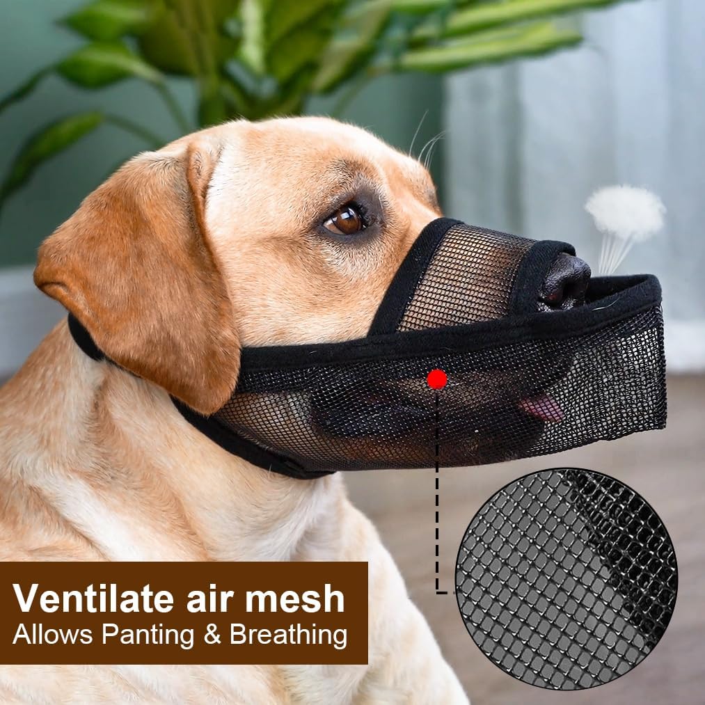Crazy Felix Dog Muzzle Anti Eating for Small Medium Large Dogs, M, Black