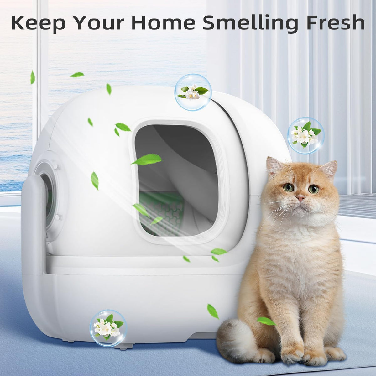6 pack N50 Odor Eliminator 2.0, deodorizer control cat litter box