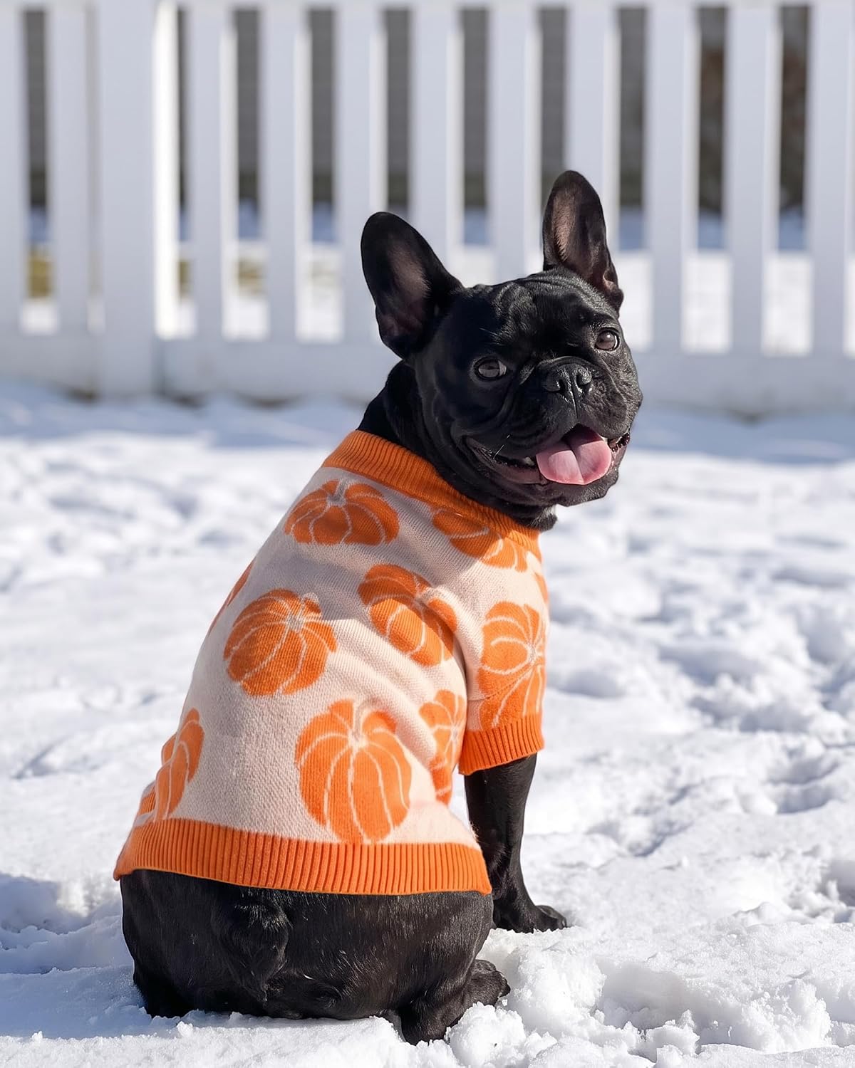 Dog Sweater Clothes for Small Dogs Stylish Halloween Costume