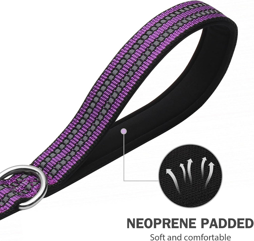 Hikiko Double Handle Dog Leash with Two Comfortable Padded Handles