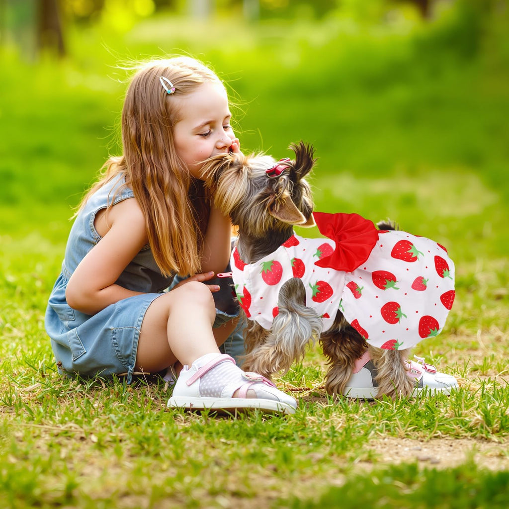 5 Pack Girl Dog Clothes Floral Summer Puppy Princess Bowknot Dog Dresses for Small Dogs Girl Clothes Cute Outfits for Bo
