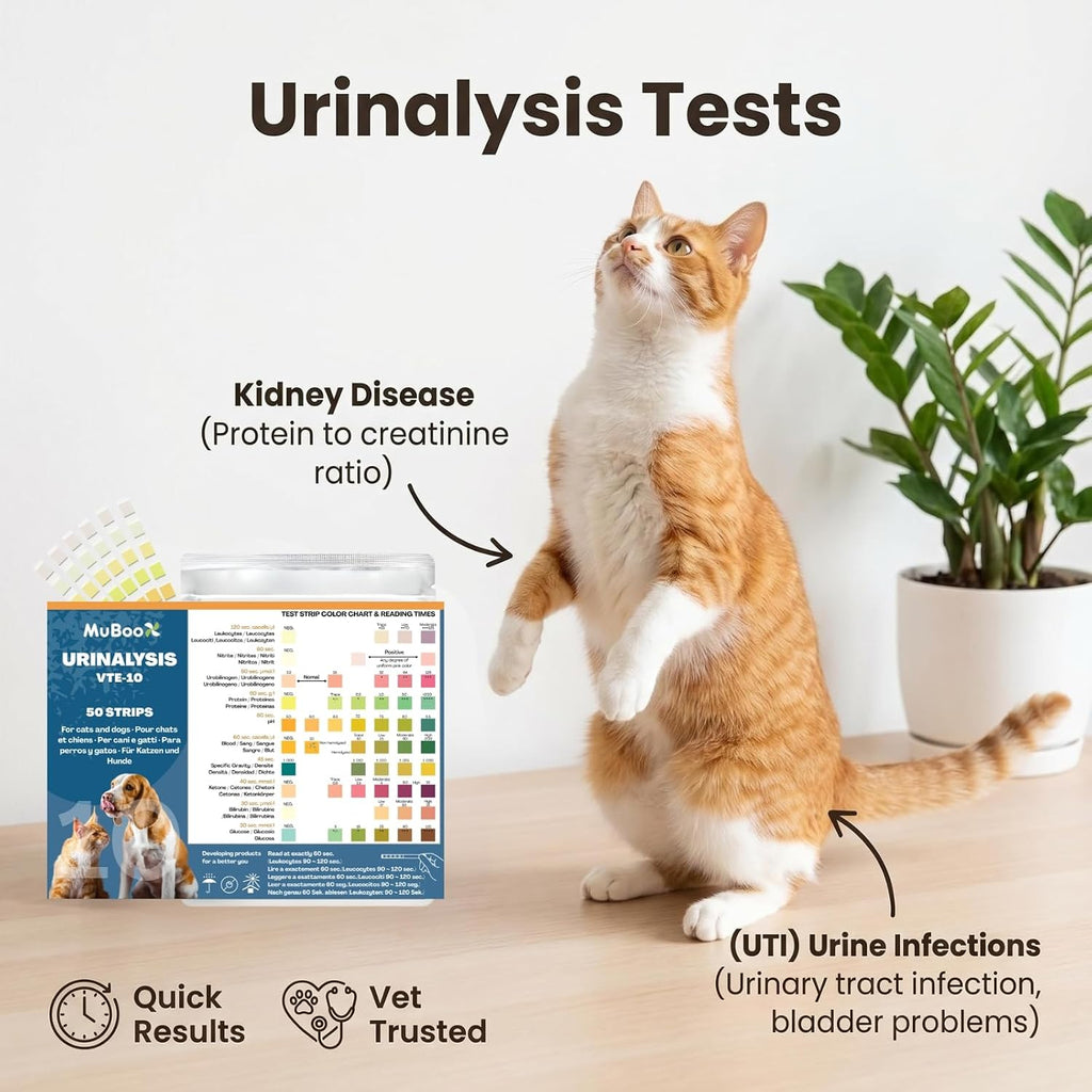 Dog UTI Test Strips for Dogs & Cats, 50 Count 10-in-1 Pet Urinalysis Test Kit, Fast Results Urine Strips for Ketone, Glu