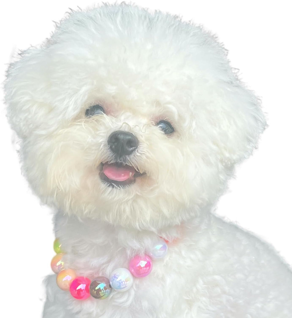 Dogs necklace,Pet Fashion Necklace,Colorful Beaded Necklace,