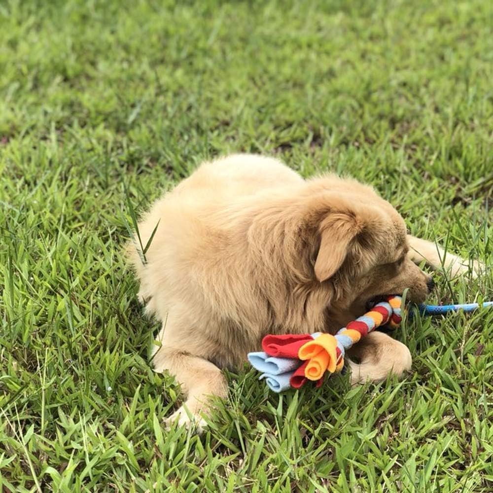 Dog Fleece Rope Teaser Toy as Replacement to Chase and Tug (A-2PCS)