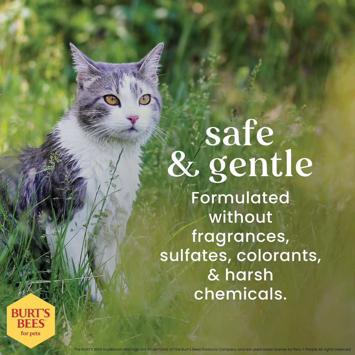 Burt's Bees for Pets Cat Dander Reducing Spray, Oat & Honey, 10 Fl Oz