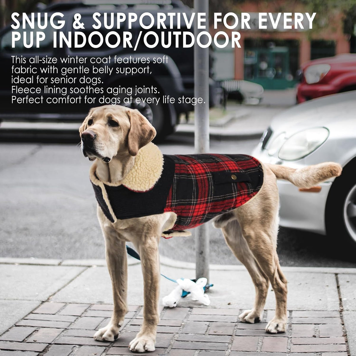 Dog Winter Coats for Small Dogs Puppies, Pet Thick Warm Jacket for Bichon
