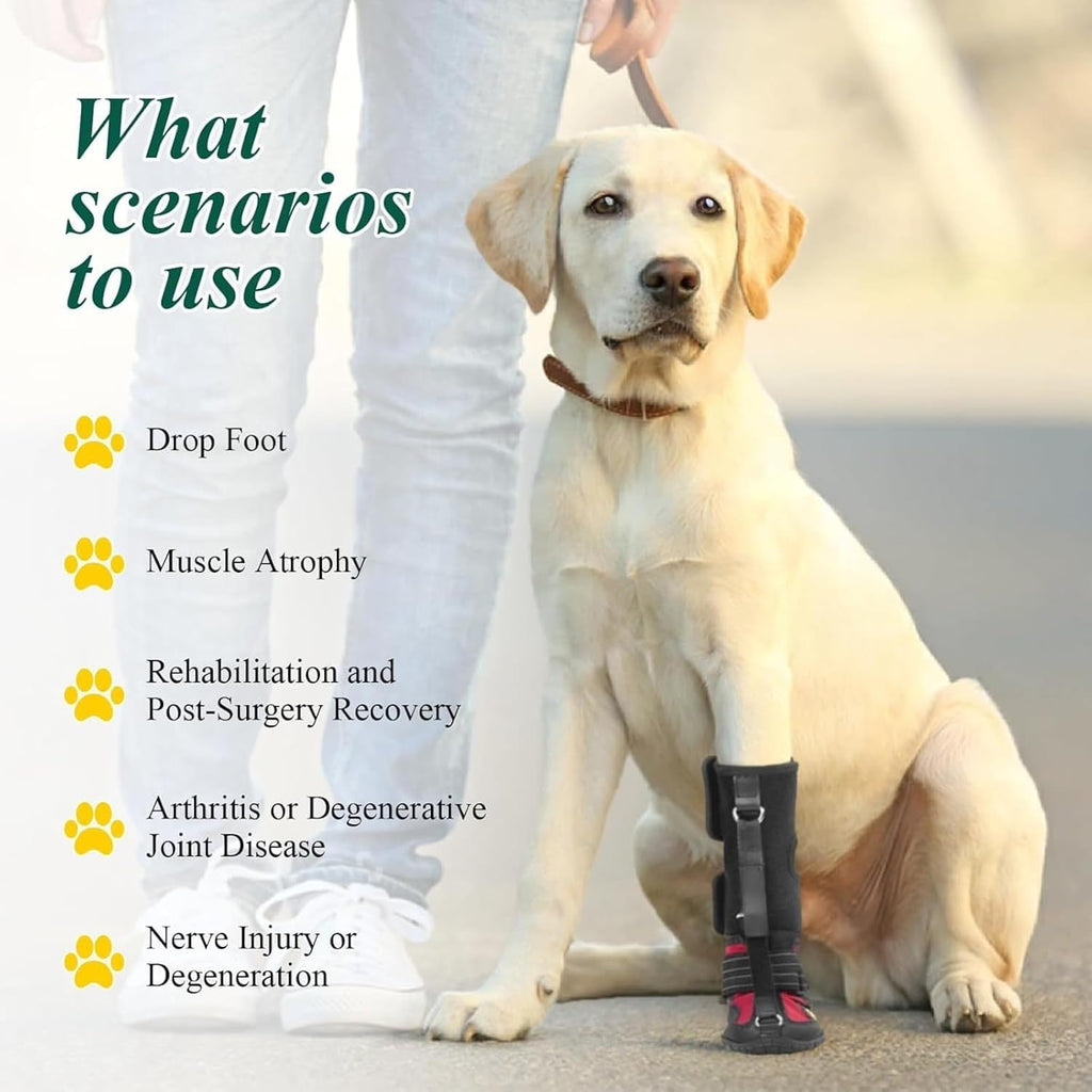 Paw Protectors for Dogs，Dog Brace for ACL Tear Back Leg，Corrective Dog Shoes Safely Lift Toes, Dog Brace for ACL Tear, A
