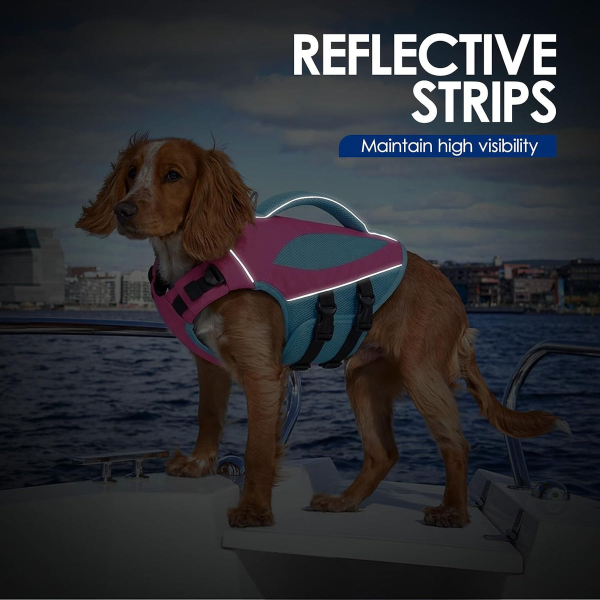 Dog Life Jacket High Buoyancy Small Dog Life Vest for Swimming, S