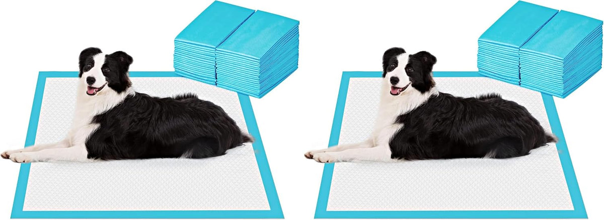 BESTLE Extra Large Pet Training and Puppy Pads Pee Pads for Dogs 28"x34" -40 Count Super Absorbent & Leak-Proof