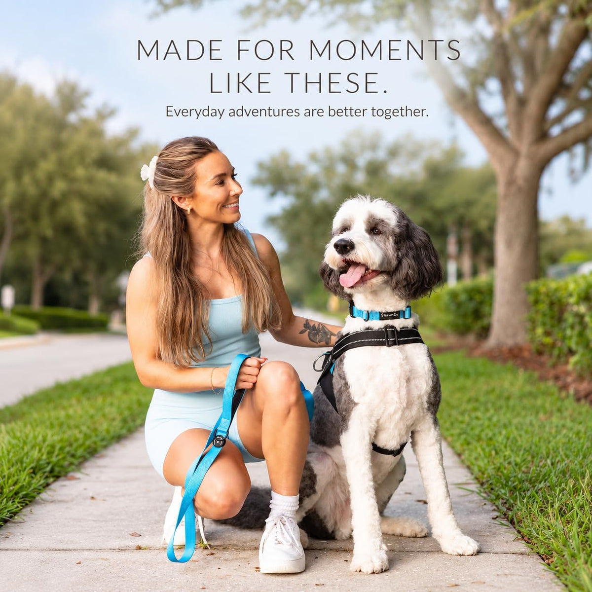 ShawnCo Dream Walk Dog Leash (Icy Lilac,M/L 6FT w/ 2 Handles)