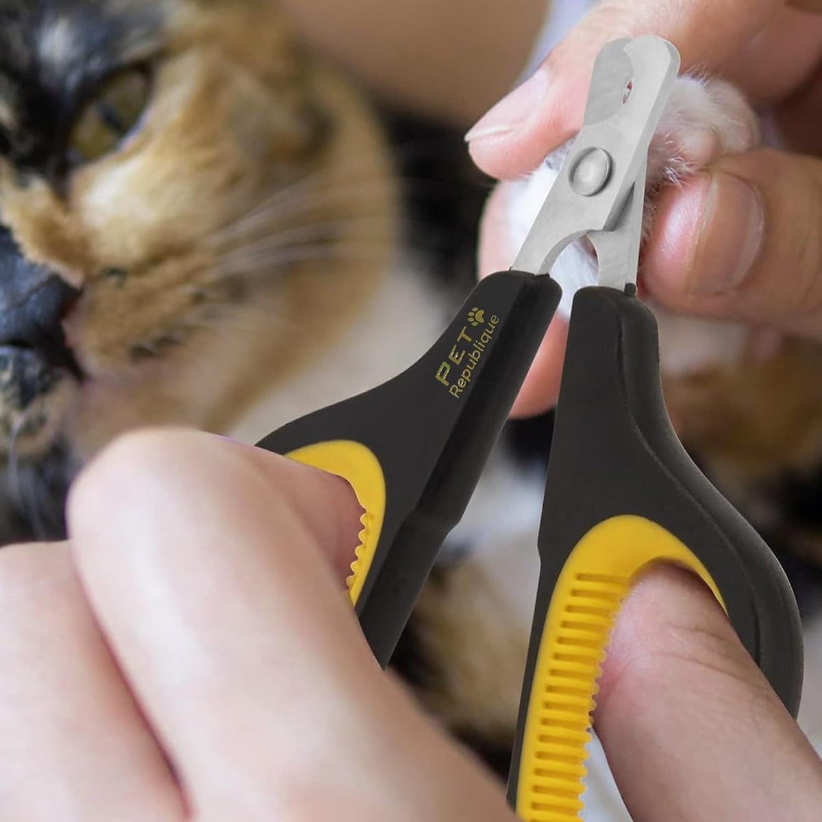 Cat Nail Clippers by Pet Republique – Professional Stainless-Steel Nail Clipper for Cats, Kittens, Hamster, Rabbits, Bir