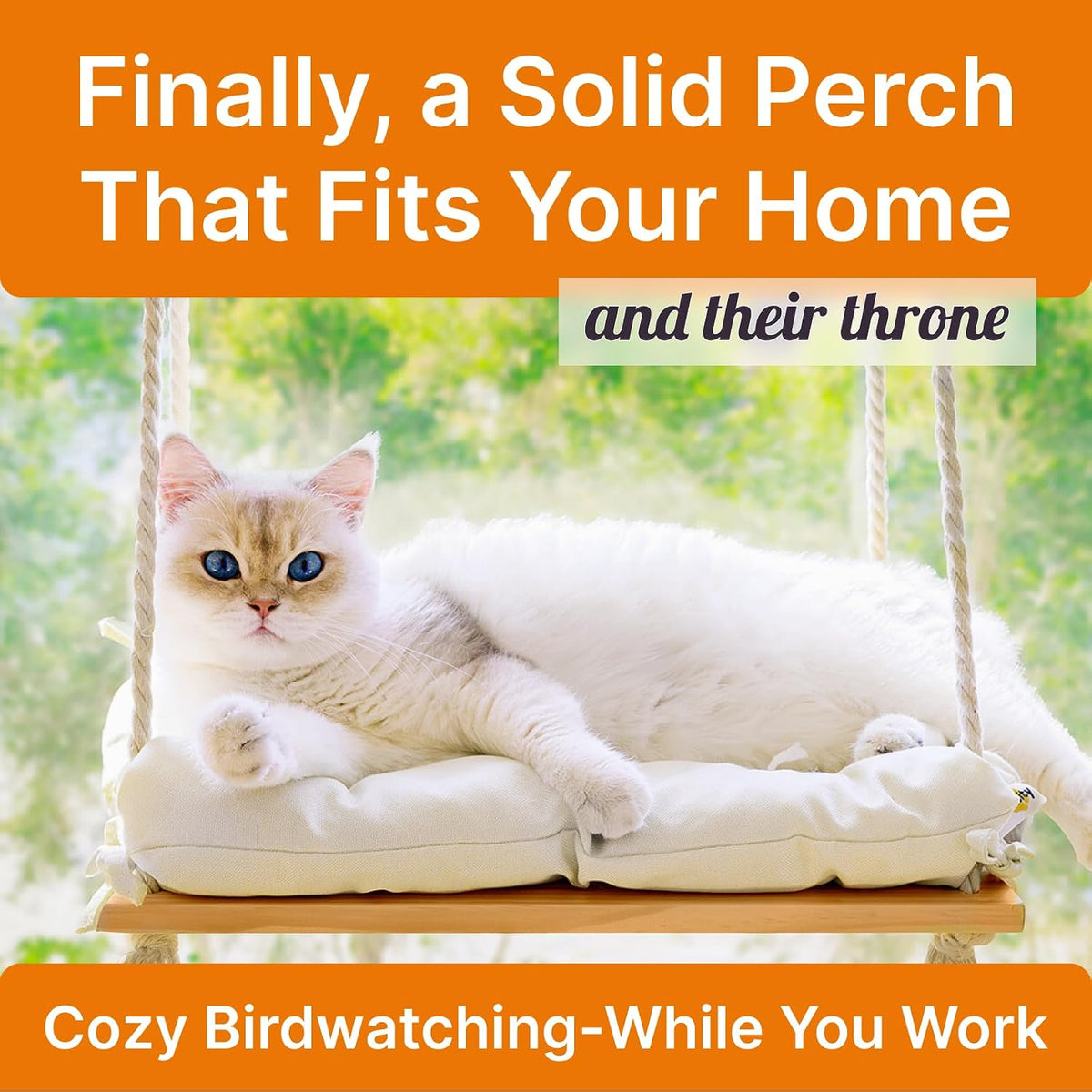 Cat Window Perch with Industrial-Grade Suction Cups - Solid Pine Wood Hammock Bed, Soft Cushion - 42 lb Capacity for Cat