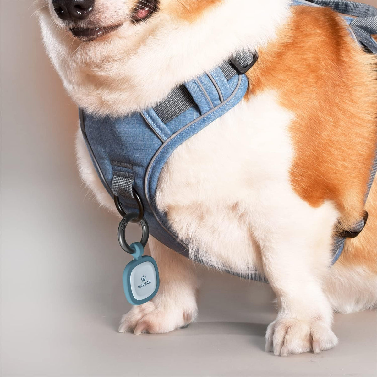 Pawaii Dog ID Tag, Silent Silicone QR Code Tag, Scan Alerts, No App, 1 Pack