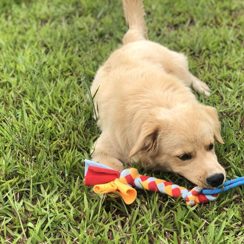 Dog Fleece Rope Teaser Toy as Replacement to Chase and Tug (A-2PCS)