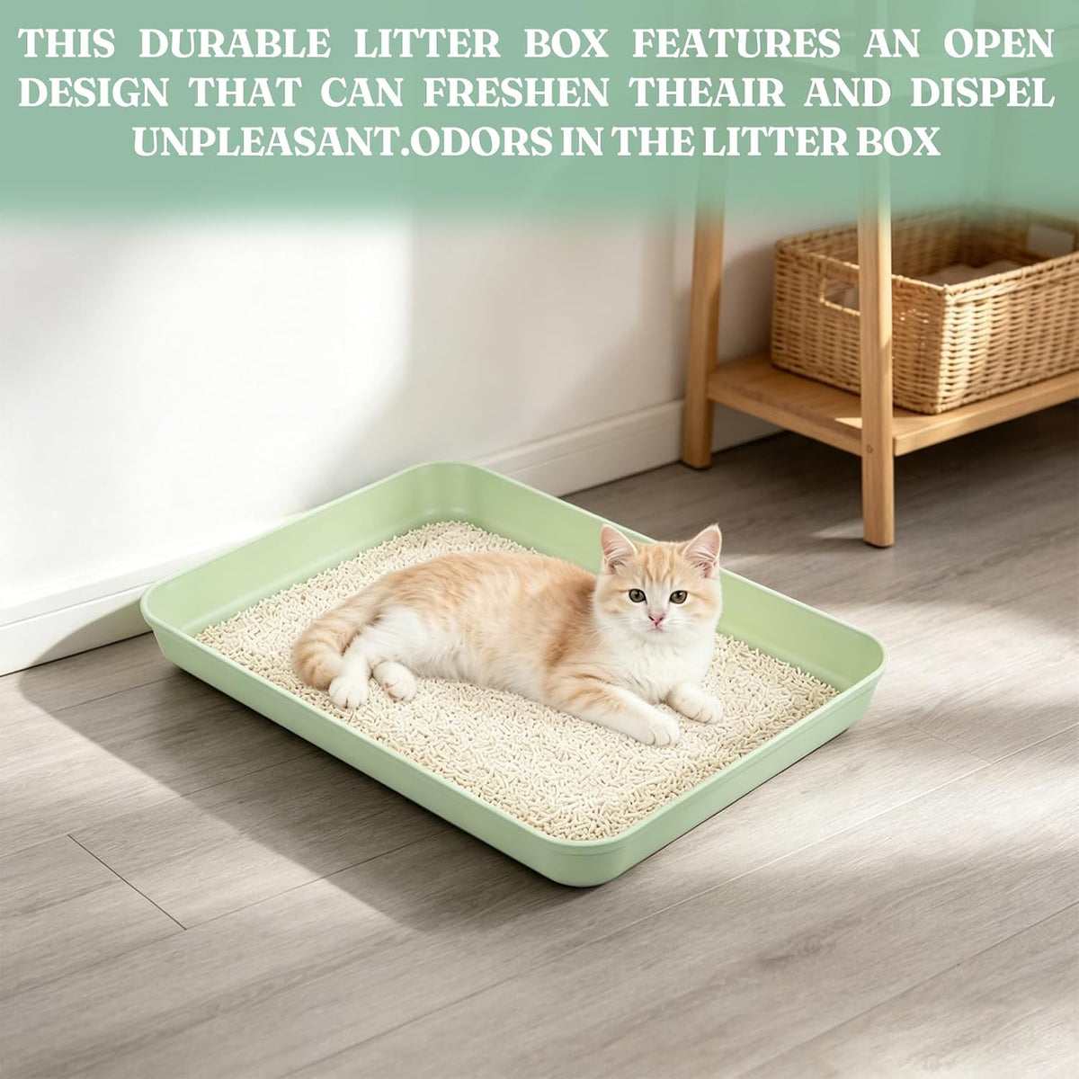 5 Pcs Medium Open Cat Litter Box for Kitten Bunnies Small Animals