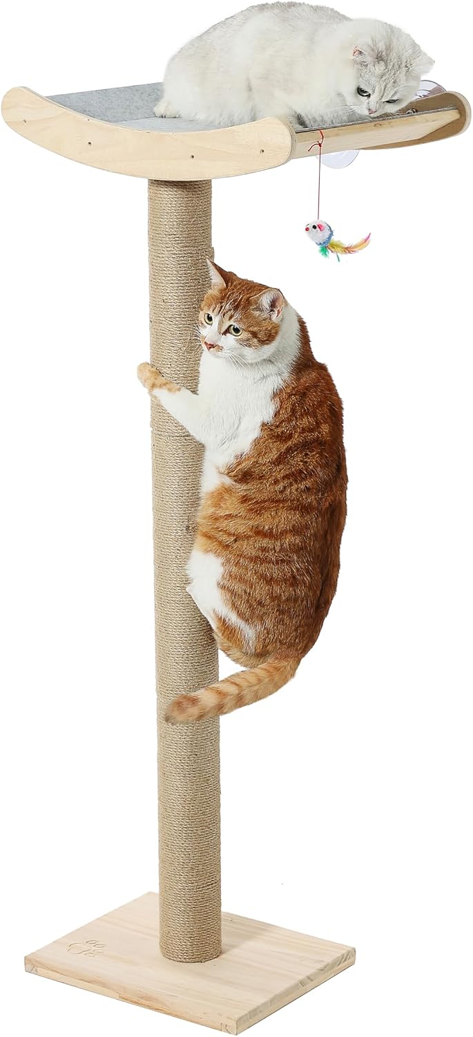 Cat Window Perch with Scratching Post, 46-Inch Tall Climbing Tree & Hammock