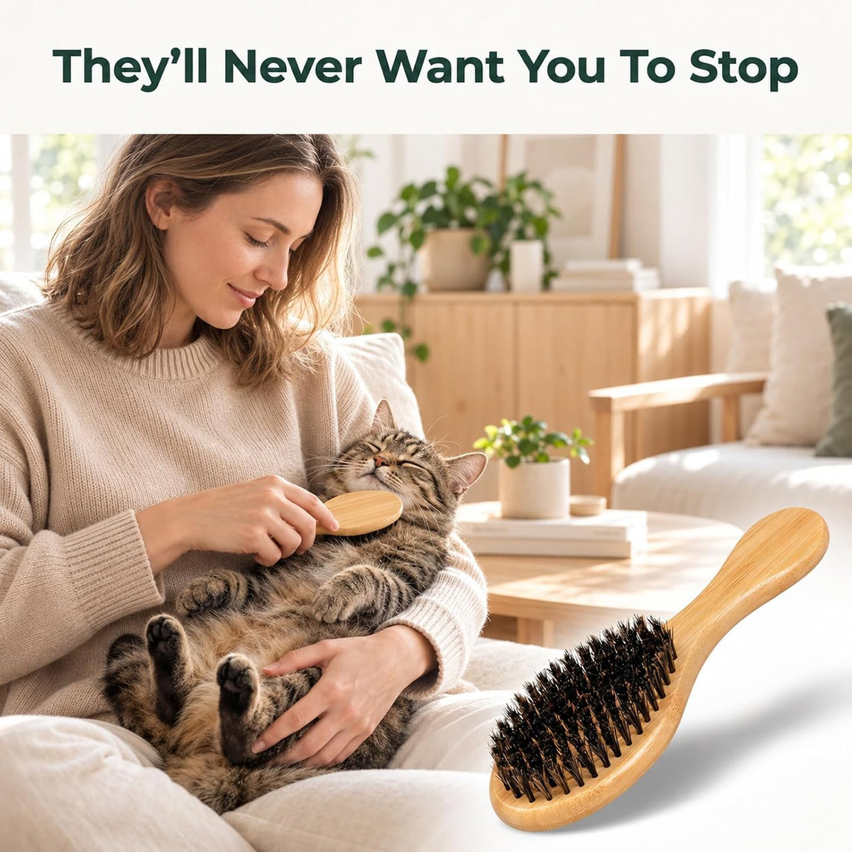 Boar Bristle Cat Brush, Soft Cat Brush for Indoor Cats Gentle Kitten