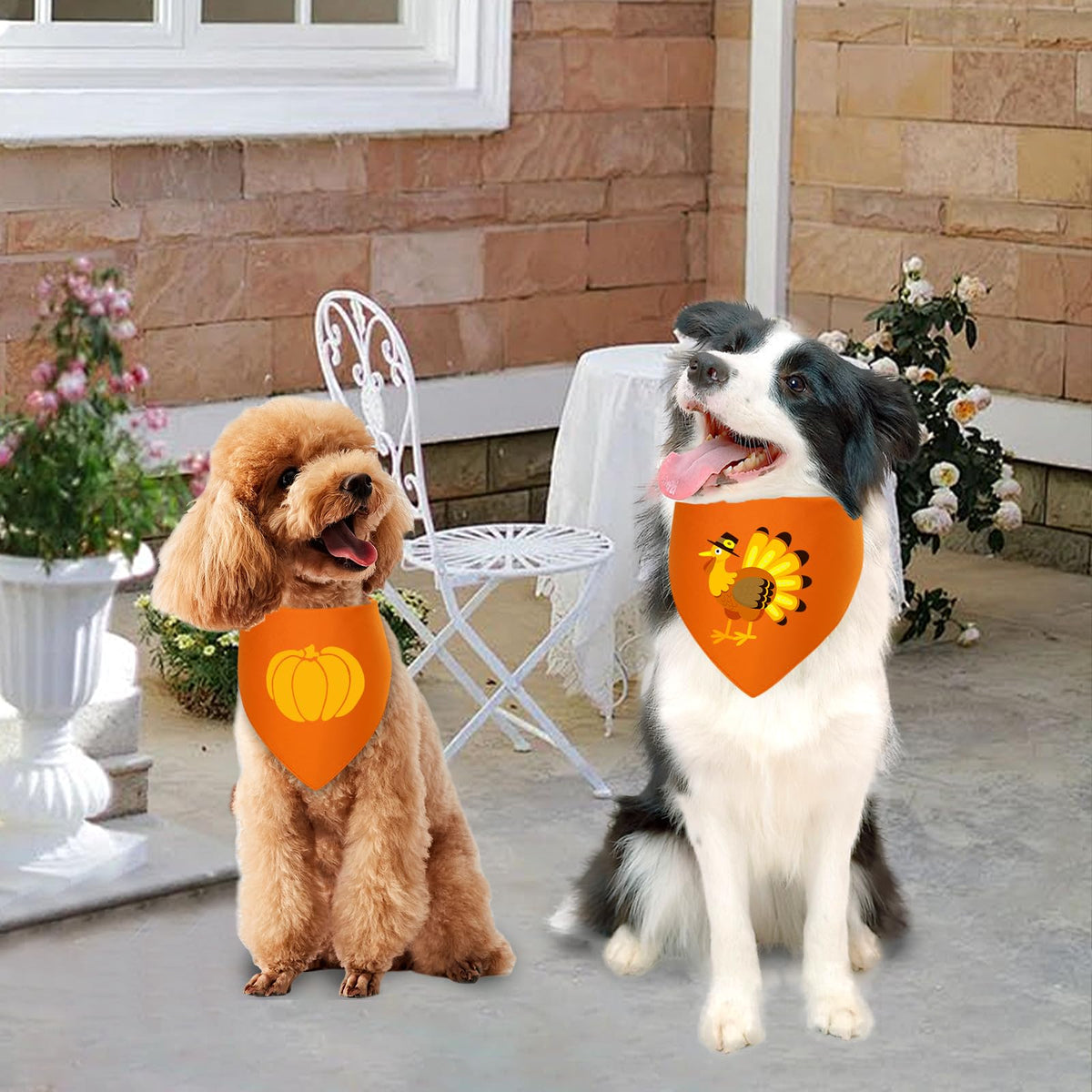 Agroon Blank Dog Bandana Orange Large 2PCS, DIY Solid Cotton Triangle Scarf