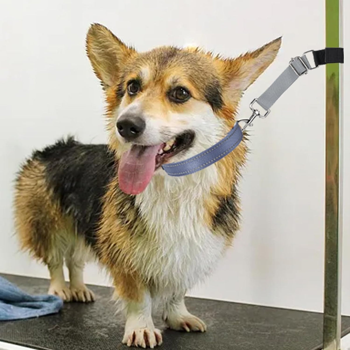 Pet Dog Grooming Arm Accessories - Dogs Loop Pets Grooming Loops Extension Straps 2 PCS Adjustable Secure and Stable Loo