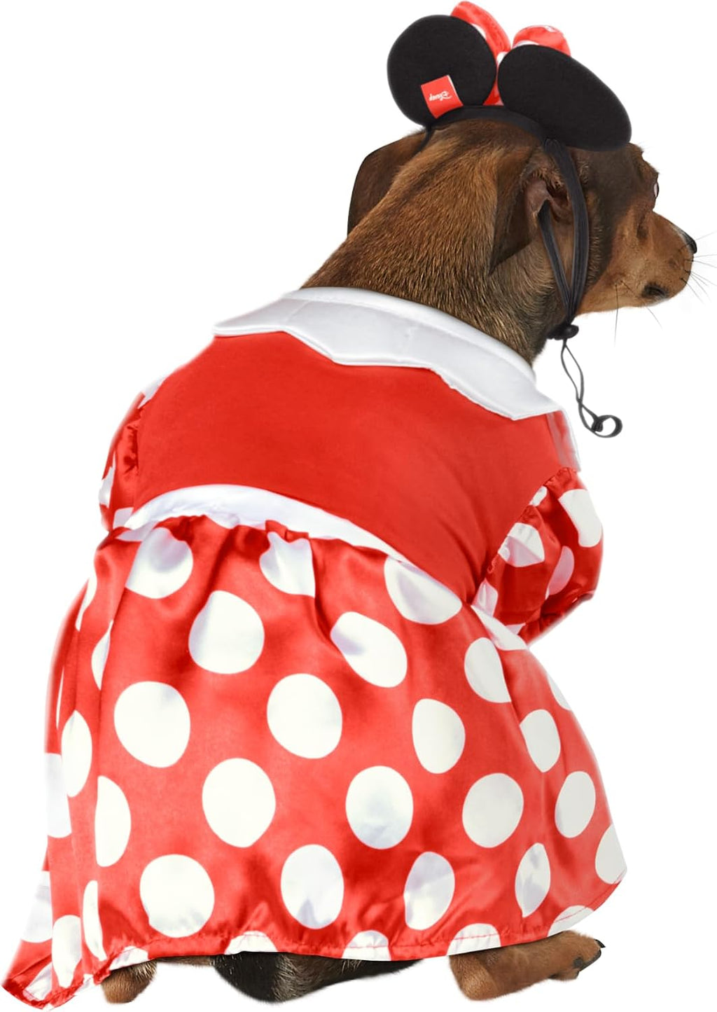 Rubies Disney: Minnie Mouse Pet Costume for Dogs or Cats, XL