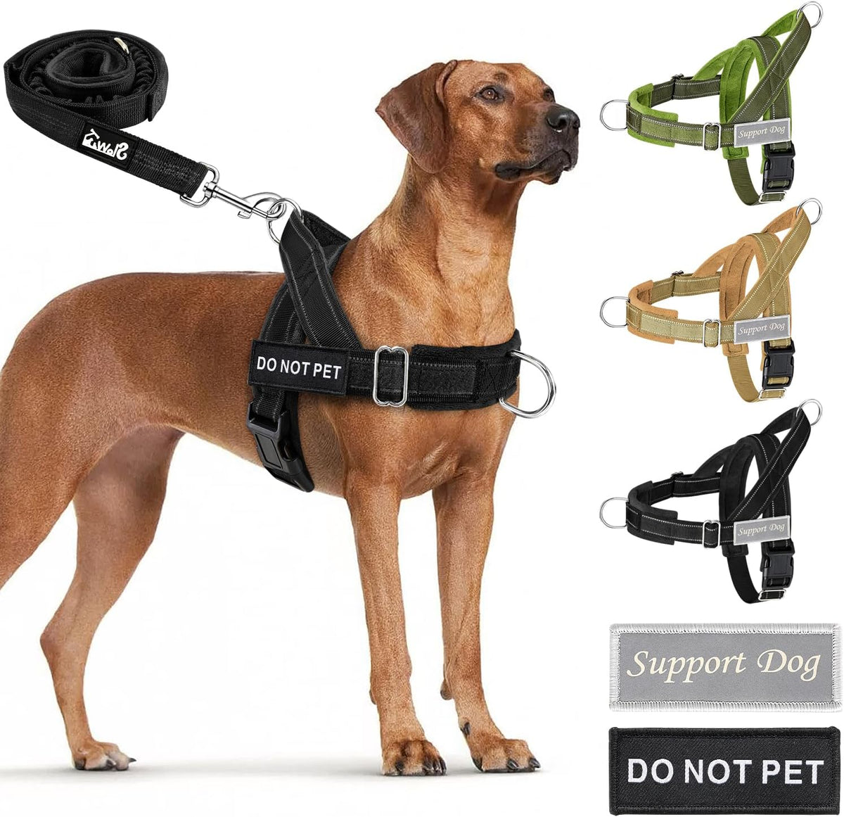 SlowTon No Pull Dog Harness and Leash Set - Heavy Duty, Soft Padded