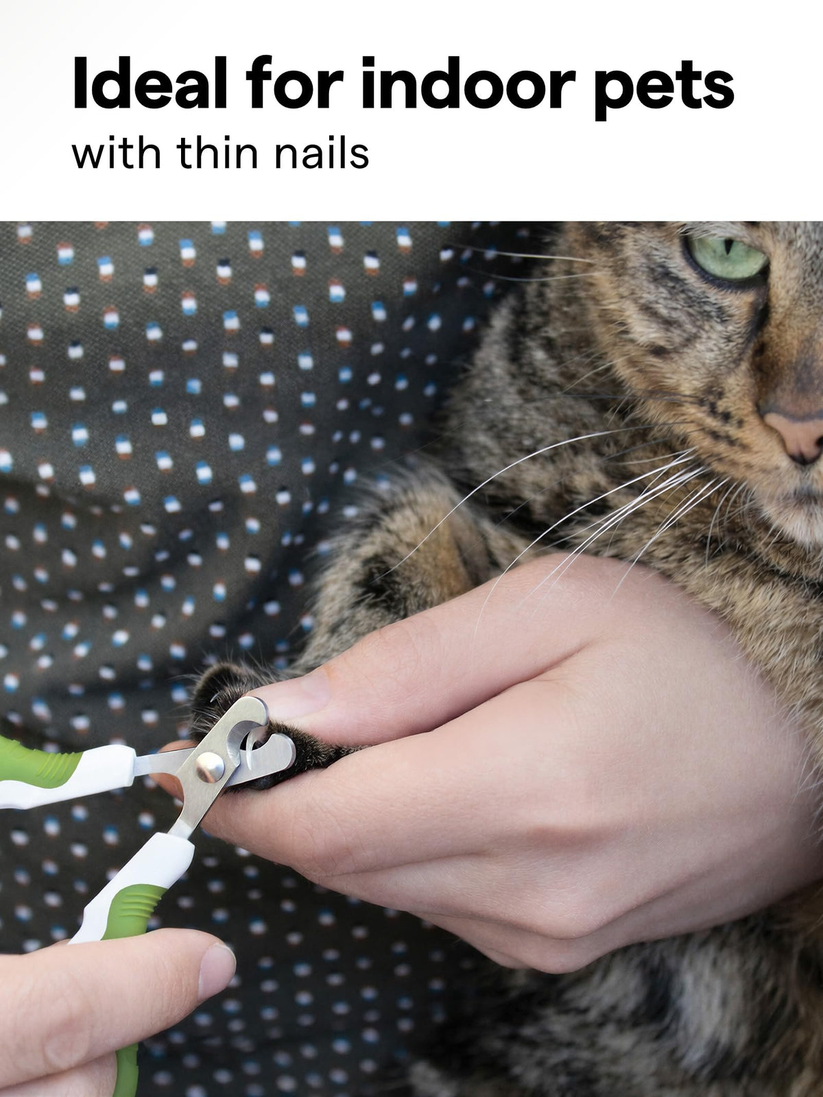 Pet Nail Clippers for Indoor Cats & Small Animals: Kitten Rabbit Tiny Dog