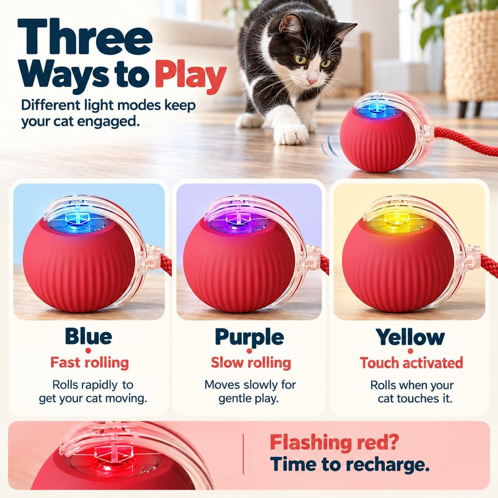 Interactive Cat Toys Balls, Interactive Rolling Dog Ball，Red