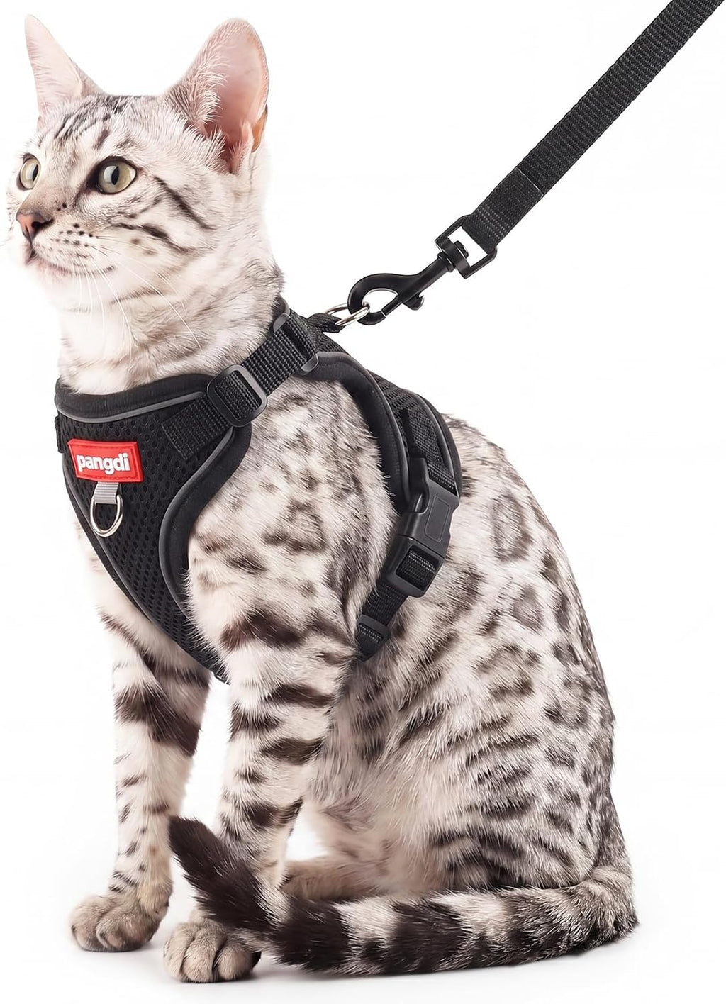 Cat Harness and Leash Set, Lightweight Air-Mesh Cat Vest, Black, XXL