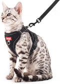 Cat Harness and Leash Set, Lightweight Air-Mesh Cat Vest, Black, XXL