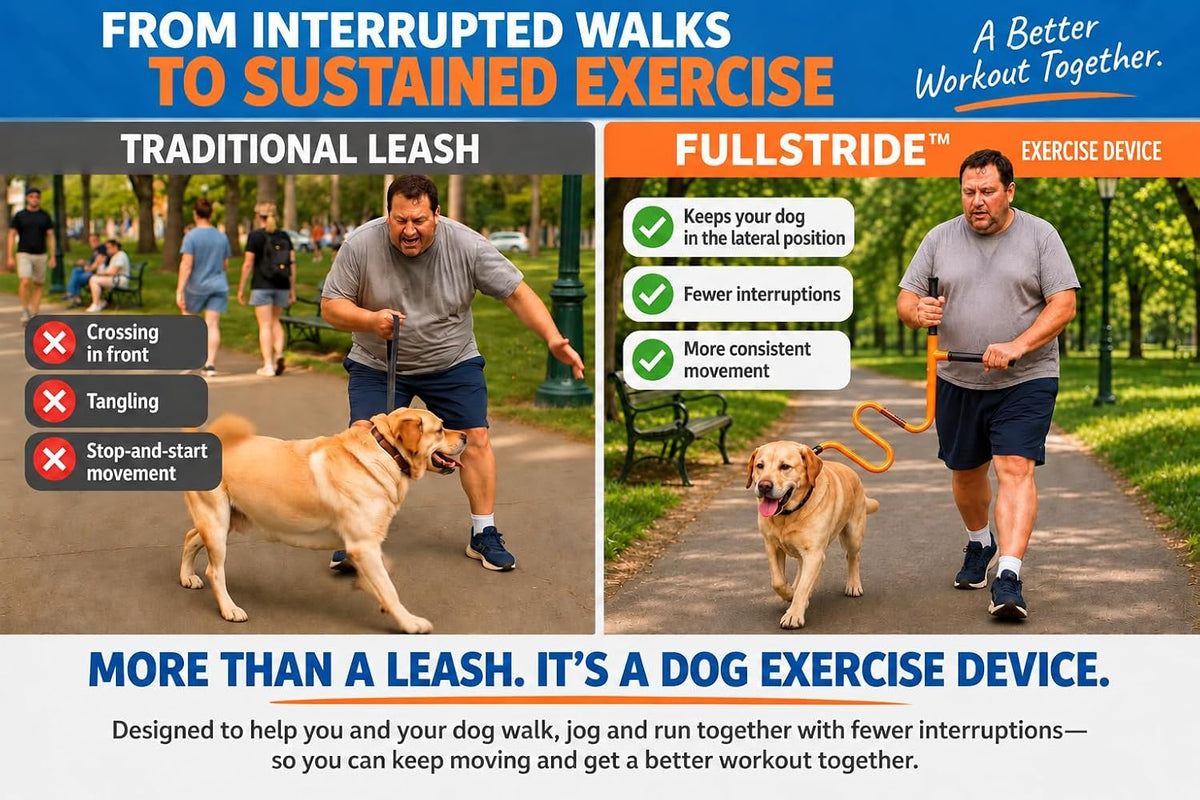 FullStride Dog Exercise Leash System for Walking, Jogging and Running (FullStride M/Harness L)