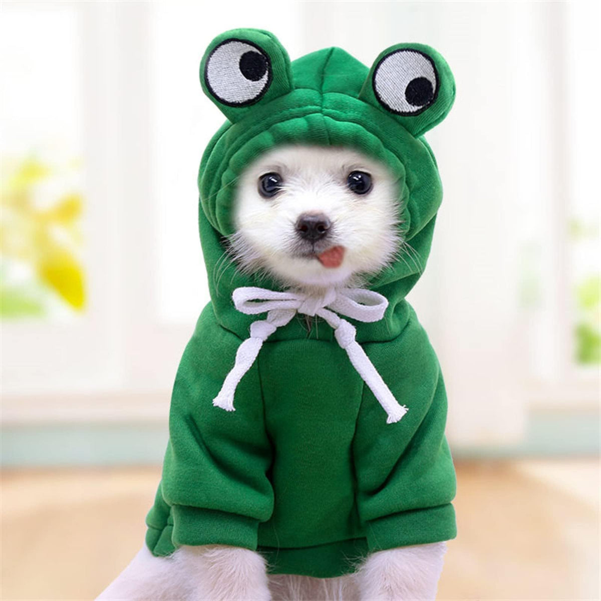 Maruomiki Warm Dog Hoodie Clothes Fleece Lined Winter Cute Coat, Frog S