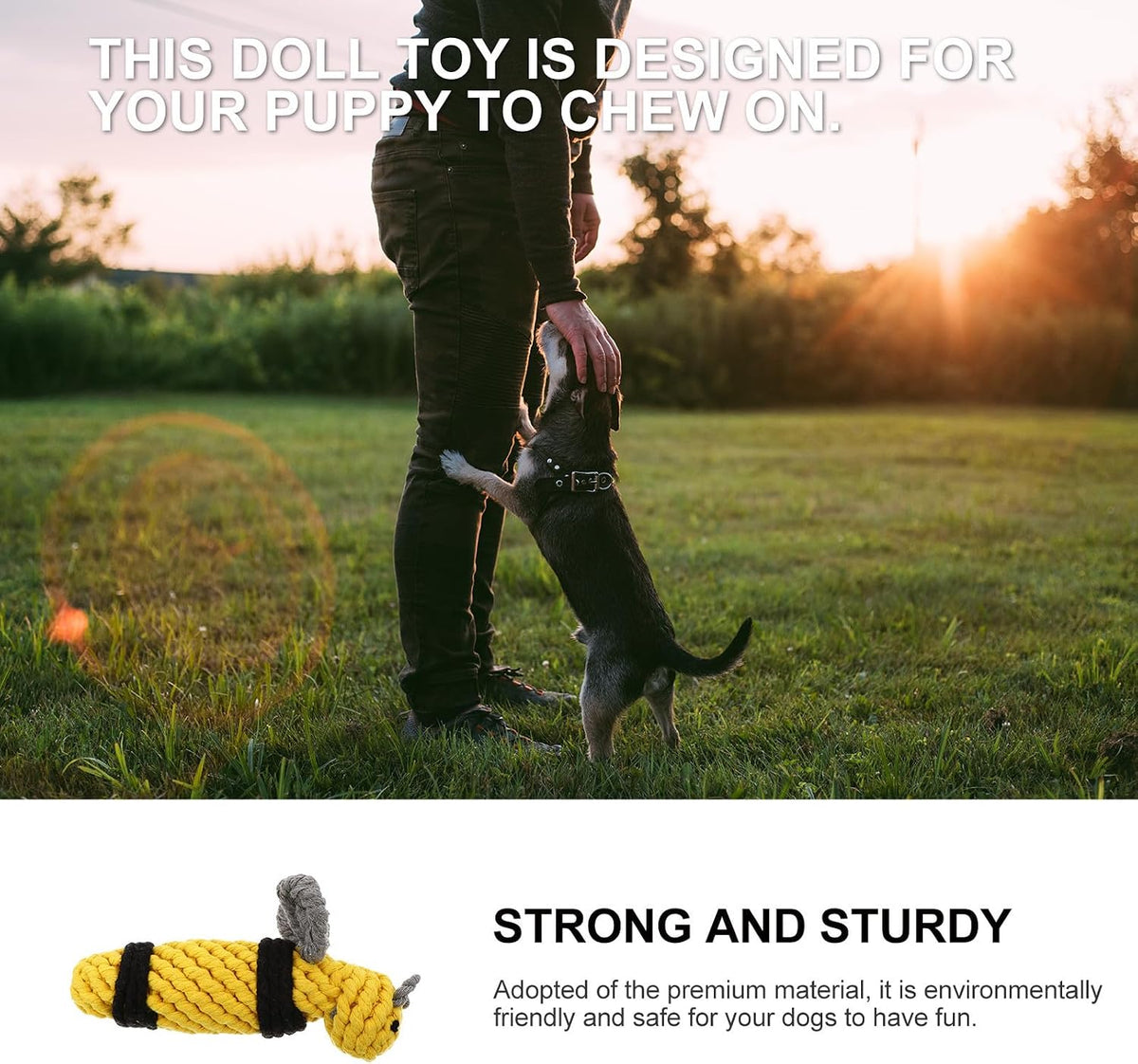 Bee Cotton Rope Dog Chew for Indoor Play and Training at Home