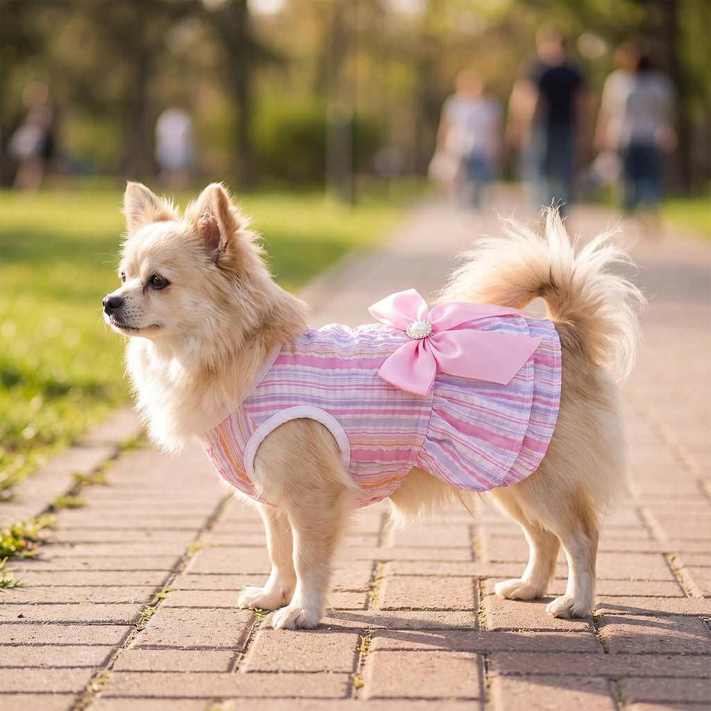 Small Dresses for Dogs, 2 Pcs Sweet Bowknot Pink Dog Dress