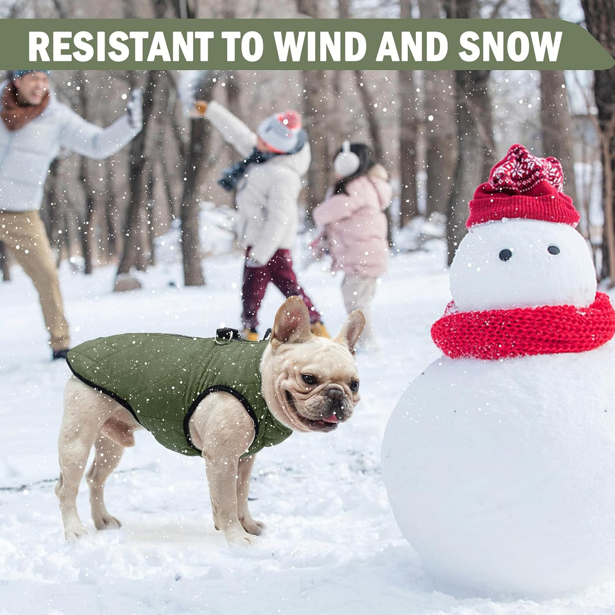 Winter Dog Vest Coat with Harness Built In