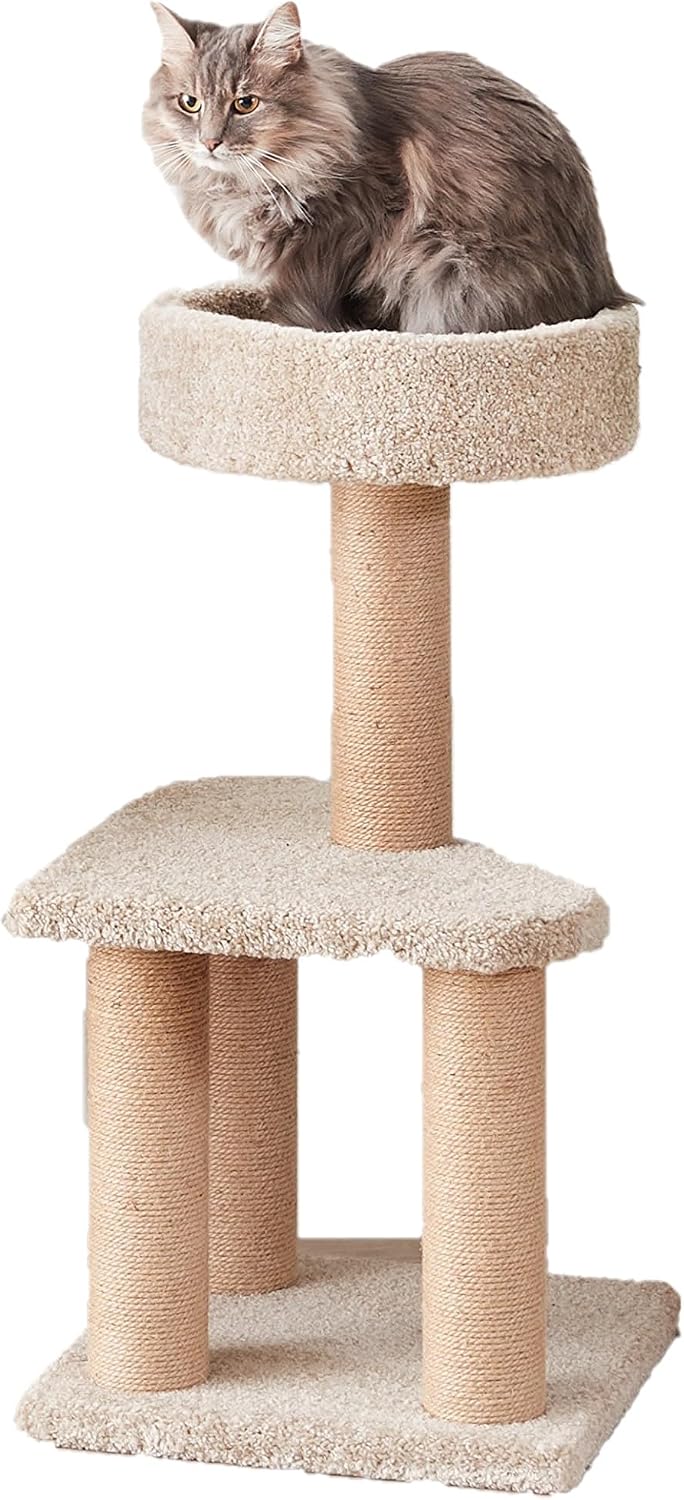 Amazon Basics Cat Tree Tower - Multi-Level Climbing Activity Center for Indoor Cats & Kittens with Scratching Posts, Pla