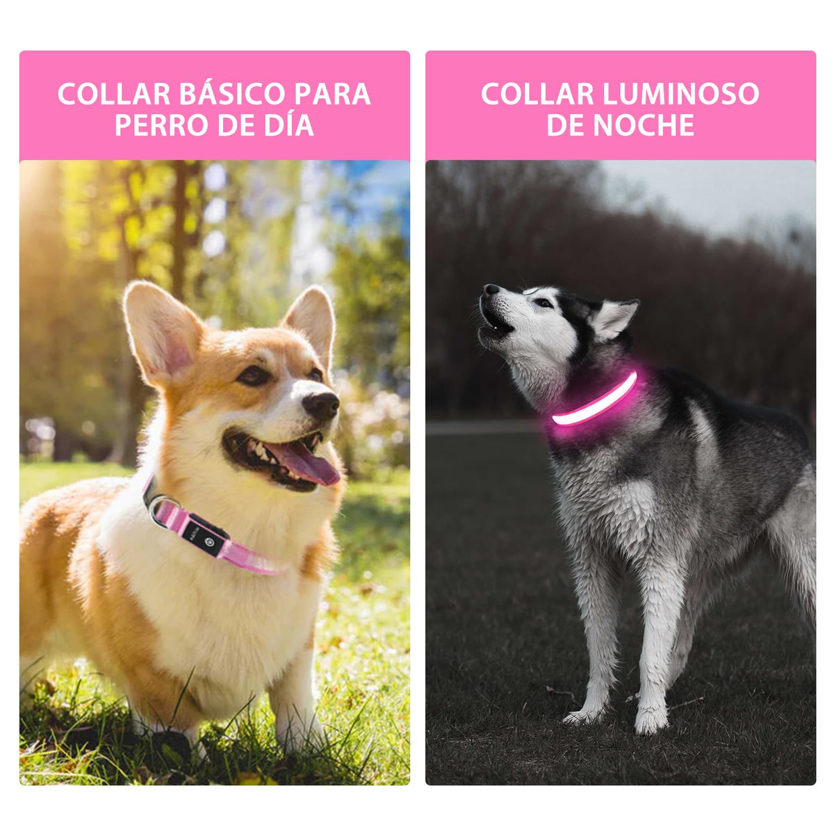 PcEoTllar Light up Dog Collar, Safe for Night Walking, Adjustable, Pink, M