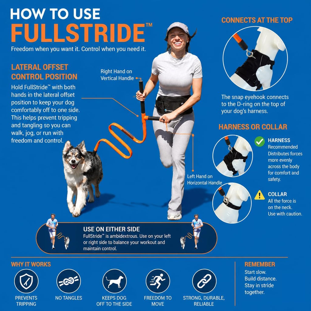FullStride Dog Exercise Leash System for Walking, Jogging and Running (FullStride M/Harness L)