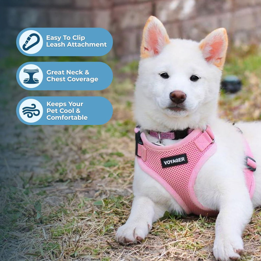 Voyager Step-in Lock Dog Harness - Pink, Medium