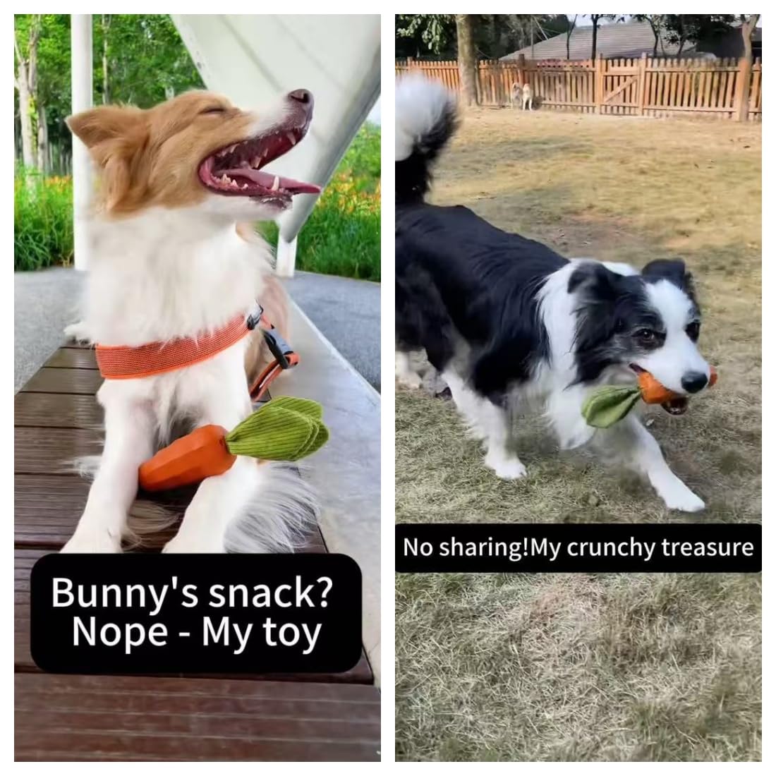 MewaJump Dog Chew Toys for Aggressive Chewers, Natural Rubber Squeaky Dog Toys, Medium Dogs