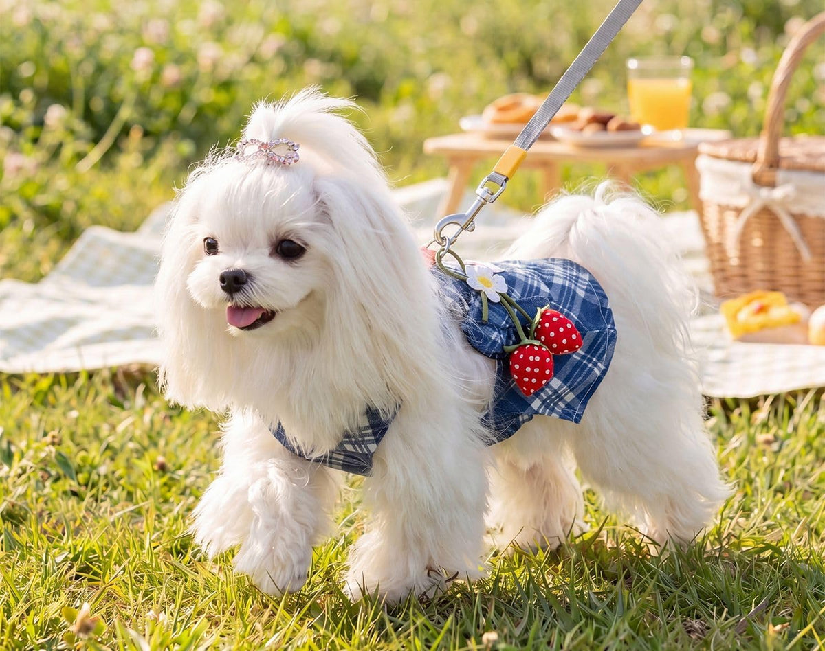 Strawberry Denim Dog Dress with Leash Hole, Suspender Skirt for Small Dogs