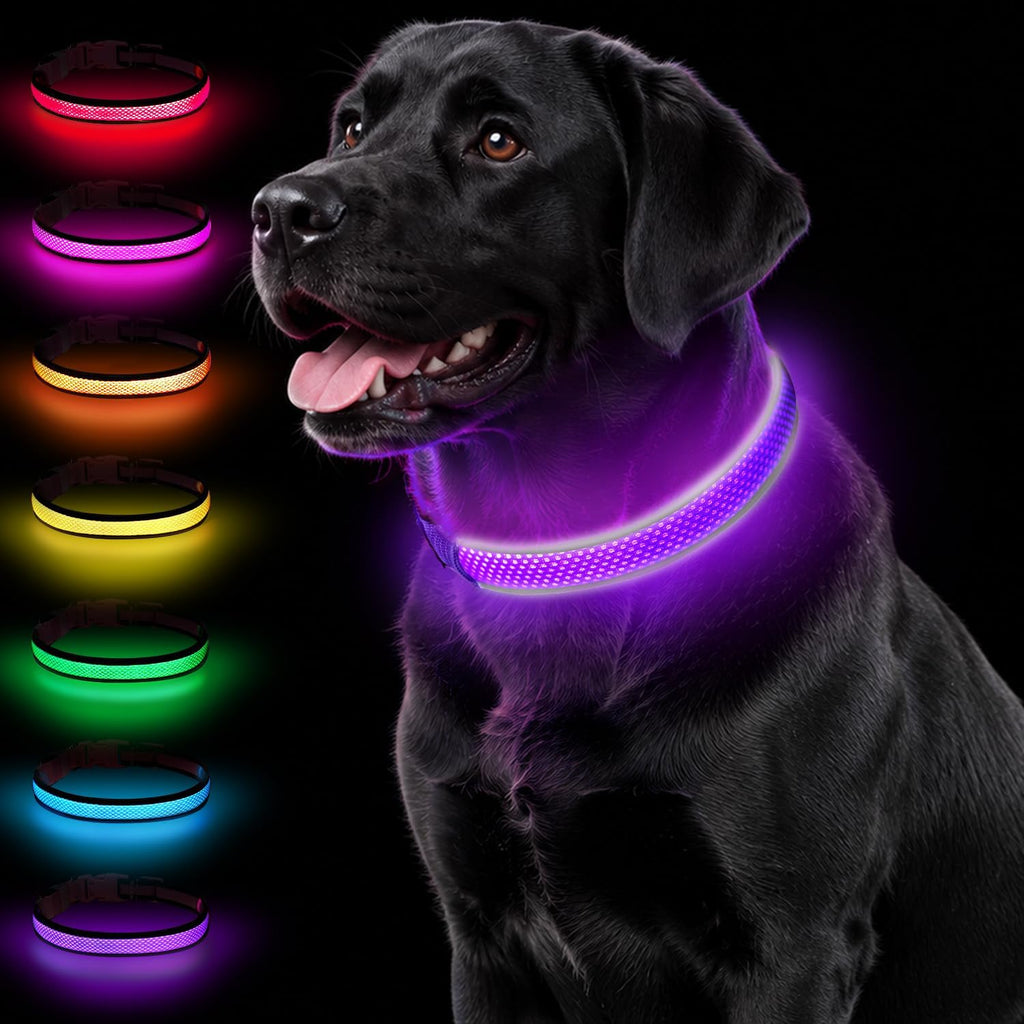 Taglory Light Up Dog Collar for Night Walking, LED Rechargeable, Hot Pink M
