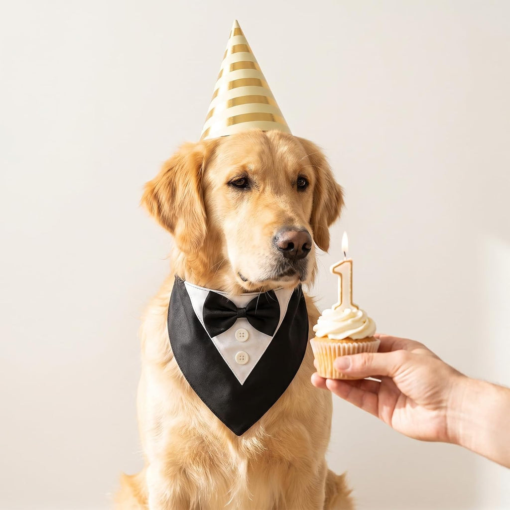 Dog Tuxedo Bandana Wedding Birthday Dog Bow Tie
