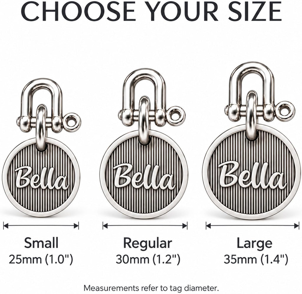 BONBOY Personalized Dog ID Tags, Custom Copper-Nickel Alloy Pet Name Tag