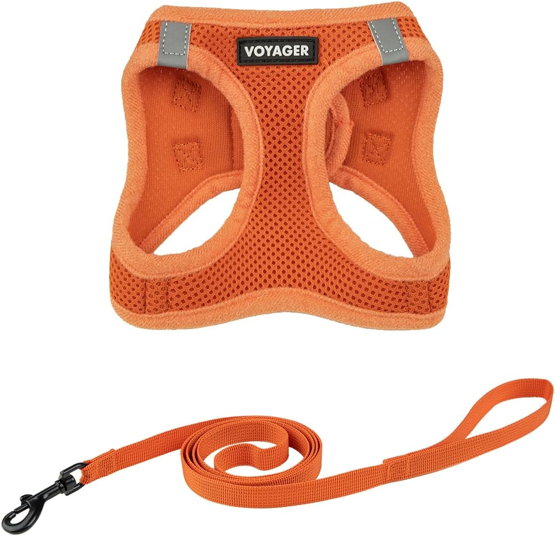 Voyager Step-in Air Cat Harness & Leash Set - Moss Green, XS